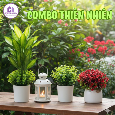 Sản phẩm trang trí phòng ngủ Mộng Mơ Decor